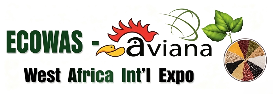 2027���ʮ���� �������� ECOWAS-Aviana ���ʼ�������ũ����